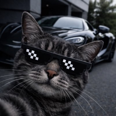 XaeoOeaX's profile picture. Love to make people laugh | My posts are NOT Financial Advices, Just My Personal Opinions | Always DYOR | Enjoying the game of life