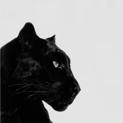 1vl2i's profile picture. قليل الحضور