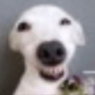 irlmyscenedoll's profile picture. 