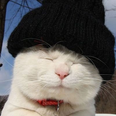 CrossXD0's profile picture. ola. | alt: @CrossUYAlt |