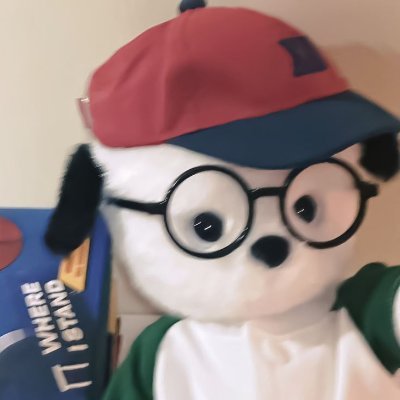 petixy's profile picture. 