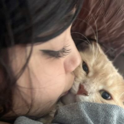 anzzent's profile picture. story