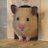 hamham13lover's profile image