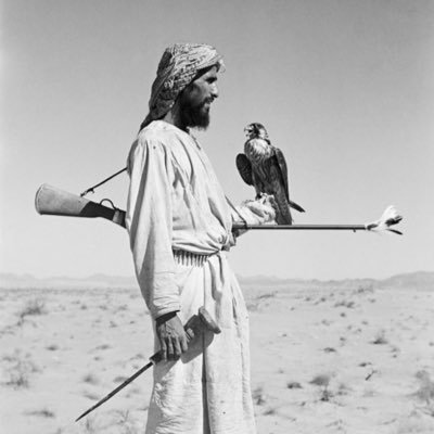 couldntknow's profile picture. 