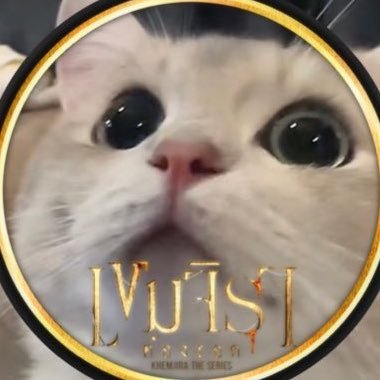 zeang_z's profile picture. 📷 fav @bambam1a @nampingnapat