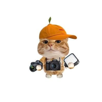 emengitiss's profile picture. Hak Milik Axel. PLV39 (230/220). WC: +8ATK. Velmora: Tenebris.