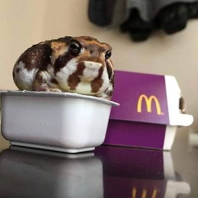 BrolyS74224's profile picture. 