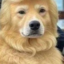 lairdcurtinIV's profile picture. 