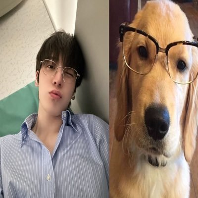 metomysoul's profile picture. 