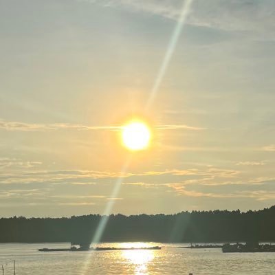 becauzimlonwoof's profile picture. Once (⁠･⁠･⁠)⁠つ⁠⊂⁠(⁠･⁠･) 🍭♥️💚🧡🍭