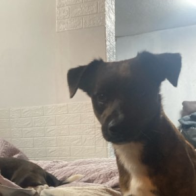 LucasGonza57140's profile picture. 