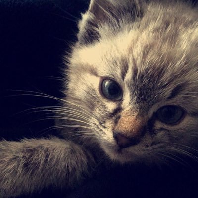 potatoetiptoe's profile picture. chipaspace bagian lock in|Petroleum Engineering👷‍♀️💌🕊️☕️🎧||free tag TO‼️ not so studytwt