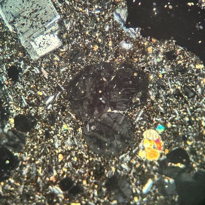 vogezija's profile picture. single-issue voter for the support of Ukraine 🇺🇦