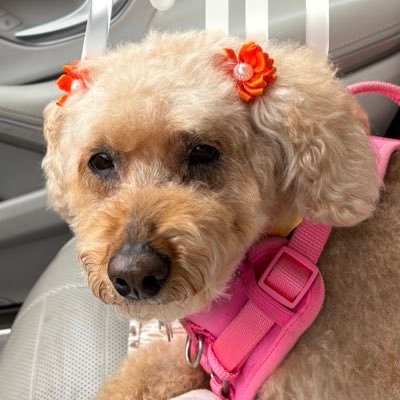 jones83126's profile picture. LIFE is a Blessing. I’m grateful to my Lord Jesus for it. I love living it and sharing it