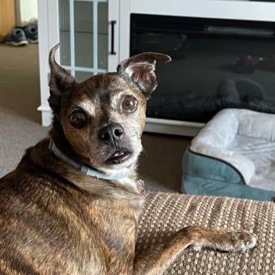 lukie521's profile picture. 