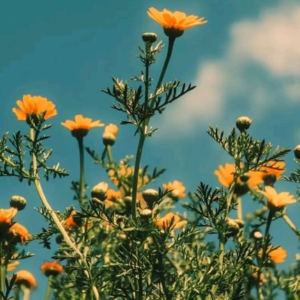 udaxcity's profile picture. free(d)