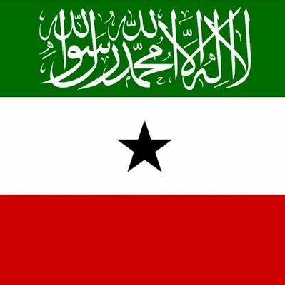 AbdulYusuf52056's profile picture. tiknikiinho