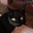 circe3433's profile image