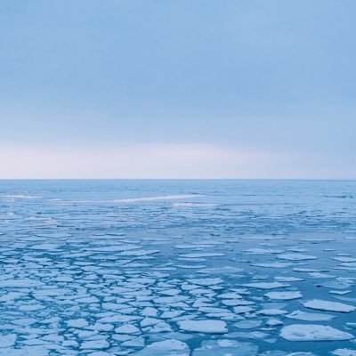 yuya_f2_8x's profile picture. 