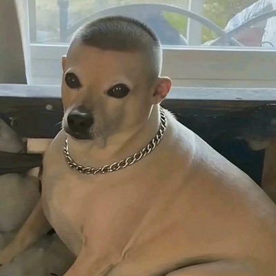 choriqeso's profile picture. hermo behavior