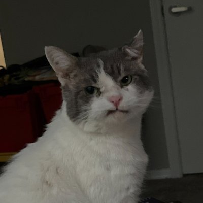 miny93__'s profile picture. 