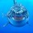 fatOshark's profile image
