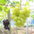 lawson1126's profile image