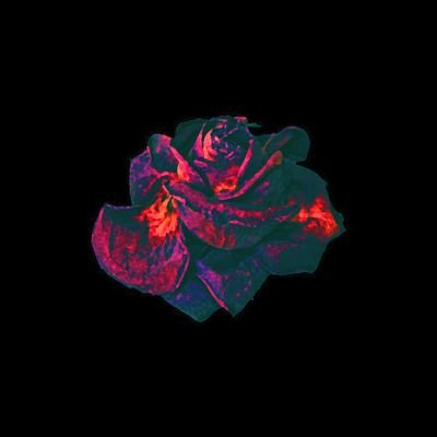 C0SMICHUNG3R's profile picture. | NOT AFFILIATED WITH ANYONE |

𝙰 𝚜𝚖𝚒𝚕𝚎 𝚒𝚜 𝚜𝚘𝚖𝚎𝚝𝚑𝚒𝚗𝚐 𝚜𝚙𝚎𝚌𝚒𝚊𝚕, 𝚊 𝚛𝚒𝚋𝚋𝚘𝚗 𝚒𝚜 𝚜𝚘𝚖𝚎𝚝𝚑𝚒𝚗𝚐 𝚛𝚊𝚛𝚎  ~ ☆