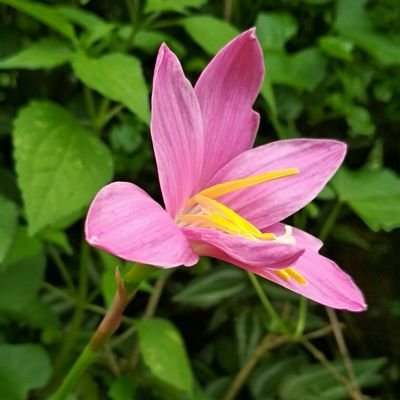 கொஞ்சம் அரசியல் பேசுவது நல்லது...