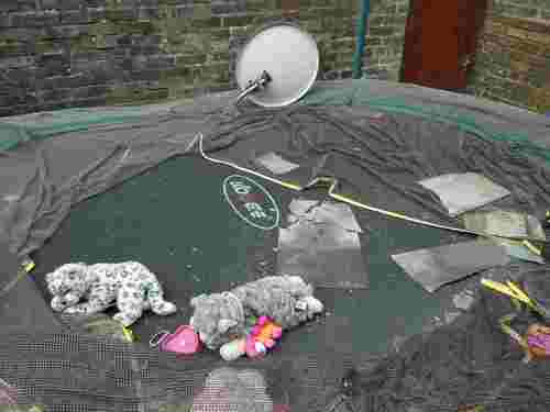 OskarOzy's profile picture. 