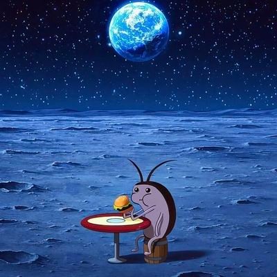 Kiiswij's profile picture. 