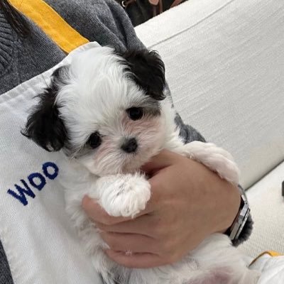 waspbass's profile picture. 나는 잘생긴넘들이 좋다