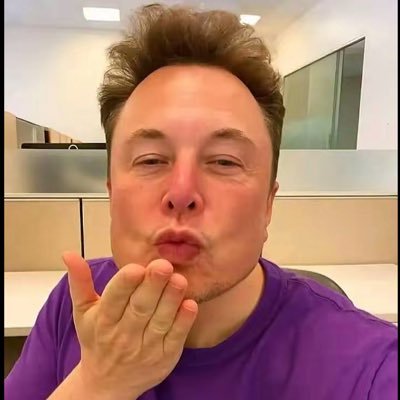 elonreveeceo11's profile picture. 