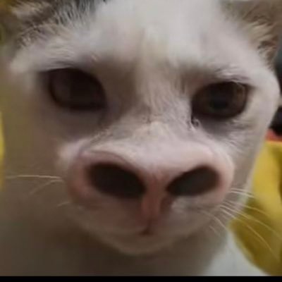 Bima1592121's profile picture. 