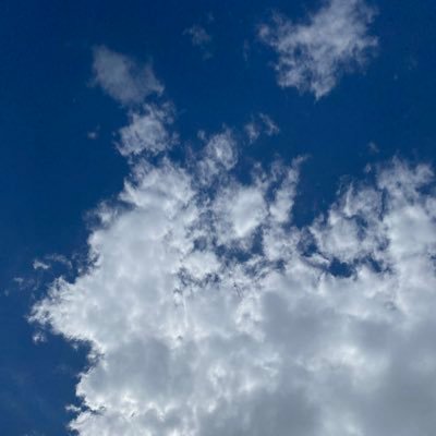 PaperBoxHouse's profile picture. 🔞 𝟏𝟖+ 𝐎𝐍𝐋𝐘 🔞  
https://t.co/cmcFDbRBGJ