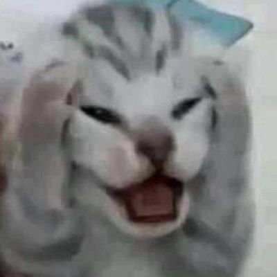 Igxdieti_0's profile picture. 