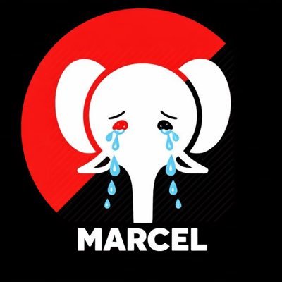 Comprendpas2's profile picture. 🔴 Je suis MarcelLaPleurnicheuse @realmarcel1 ! Je combats les idées dangereuses et nocives rien d’autre. Vive Nayib Bukele 🇸🇻