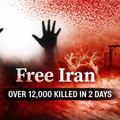 Sepidawn_'s profile picture. 