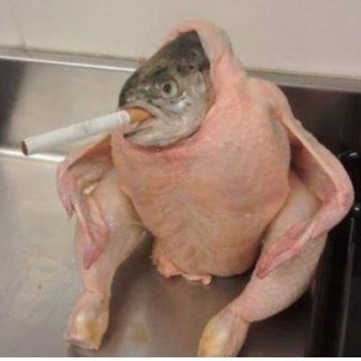 Dexternosis's profile picture. Co2 is not bad. Complete hoax, heatwave caused by Jan2022 Tonga undersea volcano, spewing water vapor into the upper atmosphere. Sex bots be following me.