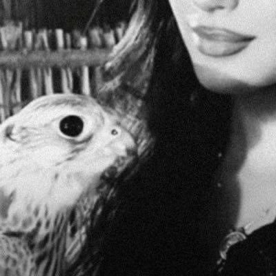 Mrr22ll's profile picture. وبكل أرض قَد نزلت قفارها نَم فالمخاوفُ كلهنّ أمان