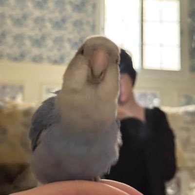 قبل أن أنام