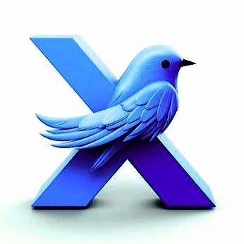 trky29284's profile picture. 