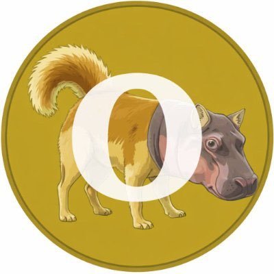 OORA_SOLL's profile picture. Moo Deng's strength, Peanut's balance, Shiba army's agility all in one package. Cck21qHq33rezTeuQbPSvULXF2vLUTMErJwbPdUGpu mp