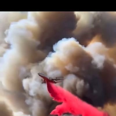 republicano0022's profile picture. VERÁN repetidos mis TW, por qué respondo sobre un tema, con el mismo !