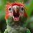 rlagentphoenix's profile image