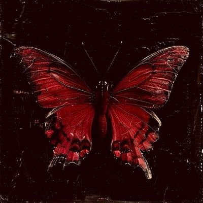 𝓑𝓮𝓵𝓵𝓪𝓭𝓸𝓷𝓪 🦂