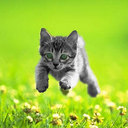 Geraldine Russo - @GeraldineRusso2 - Twitter