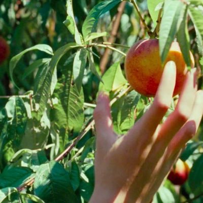 jongooningdoe's profile picture. Definitely gooning if I’m on here. Adult. Male. USA. Reblogging what I like.