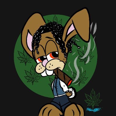 Mitrabluellc's profile picture. 