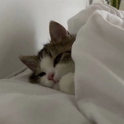 roxannedgalindo's profile picture. 